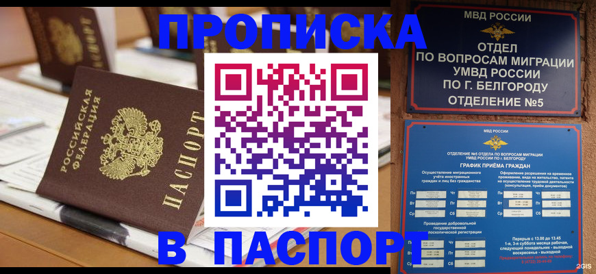 миграционный учет в Троицке